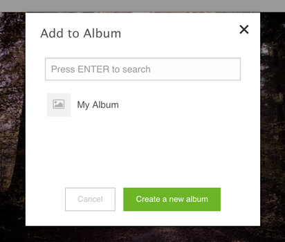 add to album modal